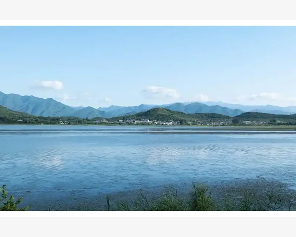 后背疼针灸几天管用