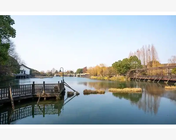 后背有痘痘可以刮痧吗？刮痧作用与技巧详解
